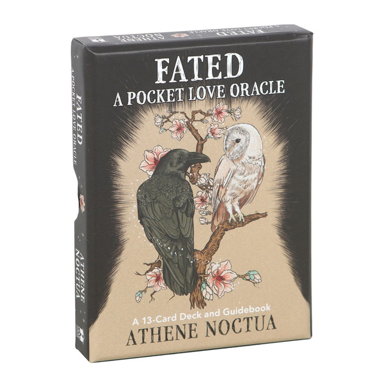 FATED: A POCKET LOVE ORACLE CARDS