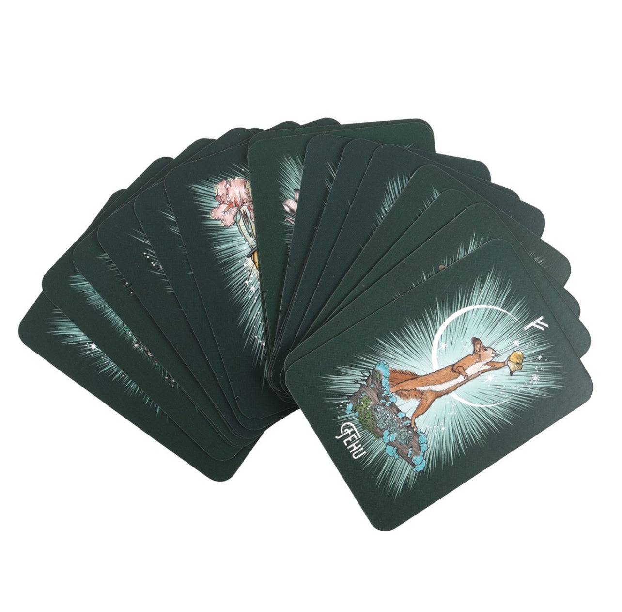 THE WITCH’S FAMILIAR RUNIC ORACLE CARDS